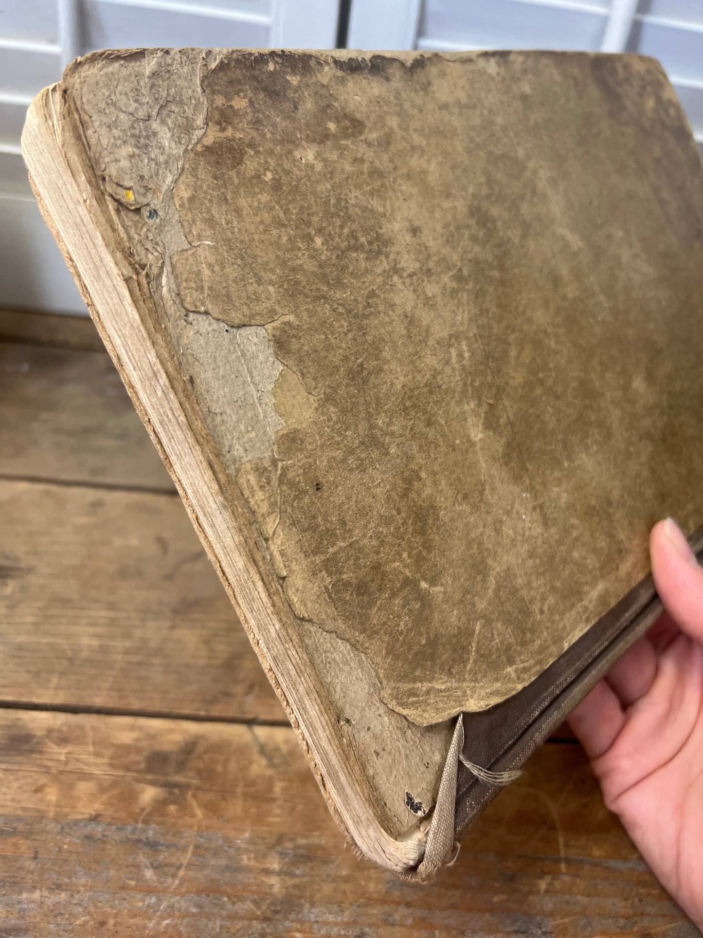 The Laurel Music Reader Special Edition Shabby Music Book Antique Music Book 1913