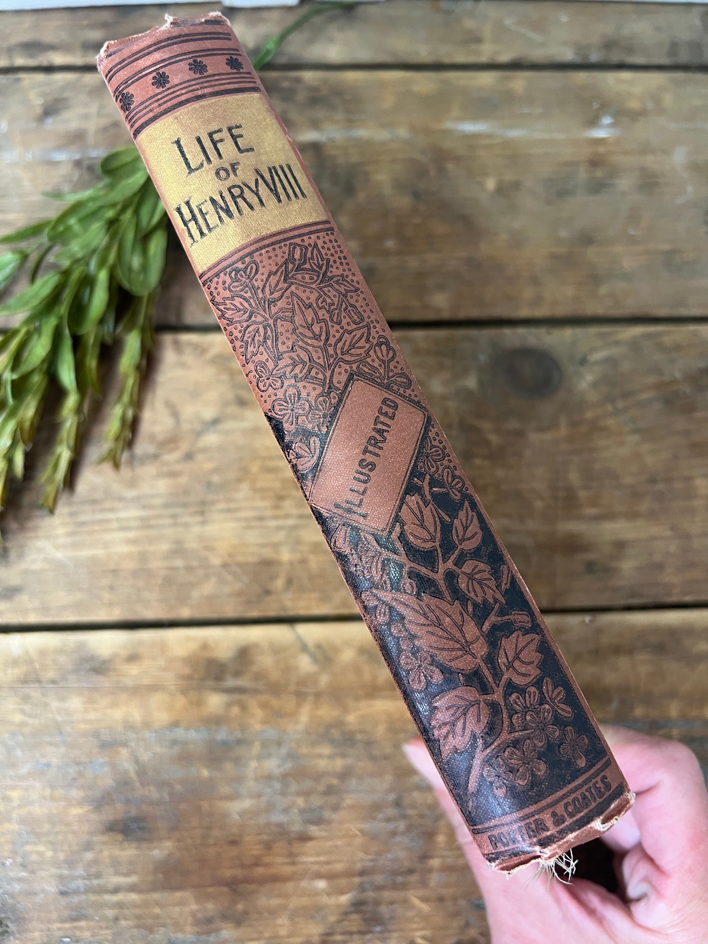 Life of Henry VIII Alta Edition 1880 Porter and Coates