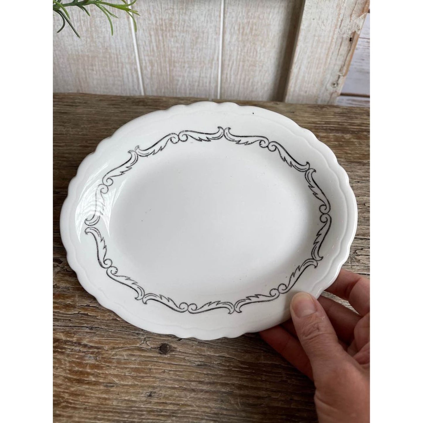 Small oval plate/restaurant ware/sterling vitrified China/ E Liverpool Ohio