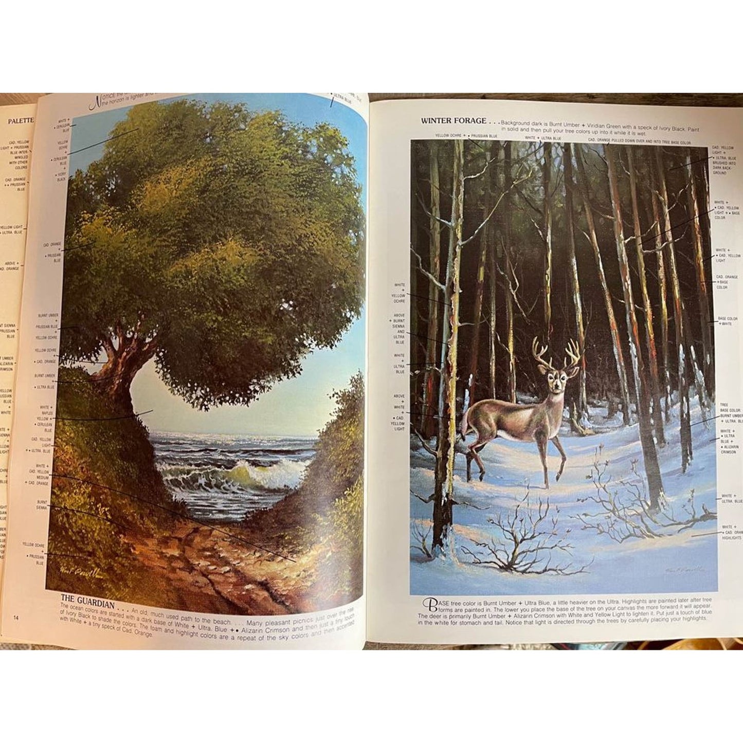 Color Thick and Thin by Wm F Powell, Walter Foster Art Book #182 Manual