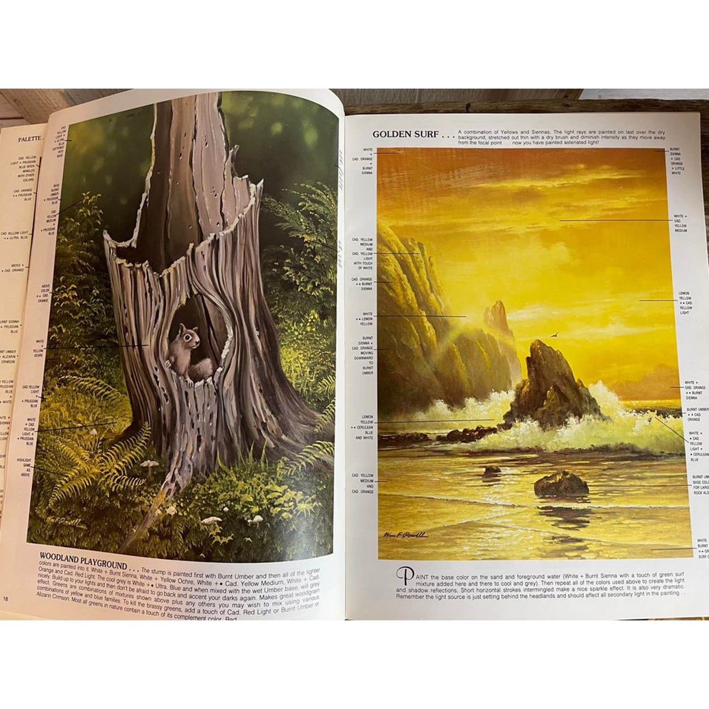Color Thick and Thin by Wm F Powell, Walter Foster Art Book #182 Manual