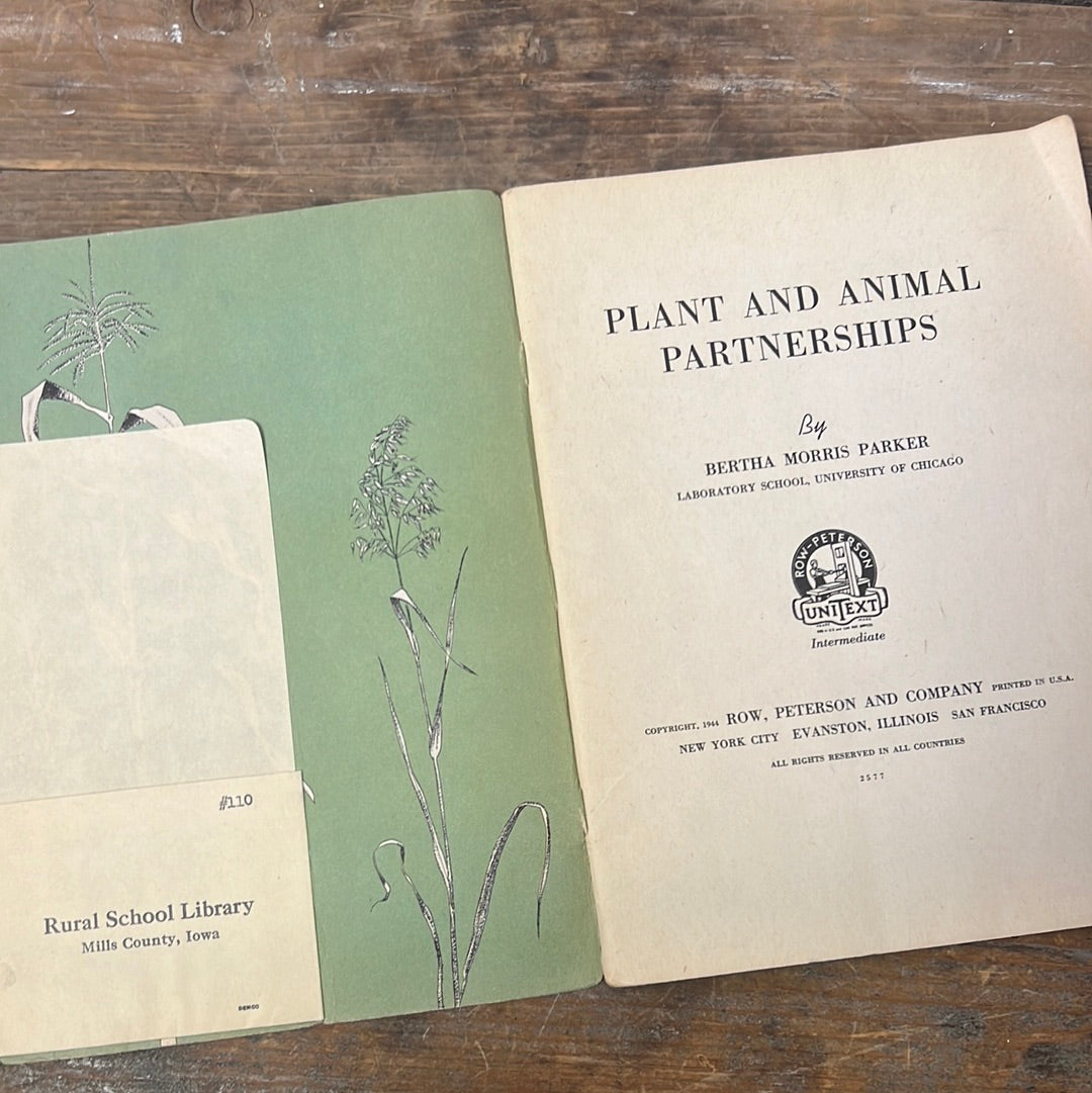 Plant and Animal Partnership