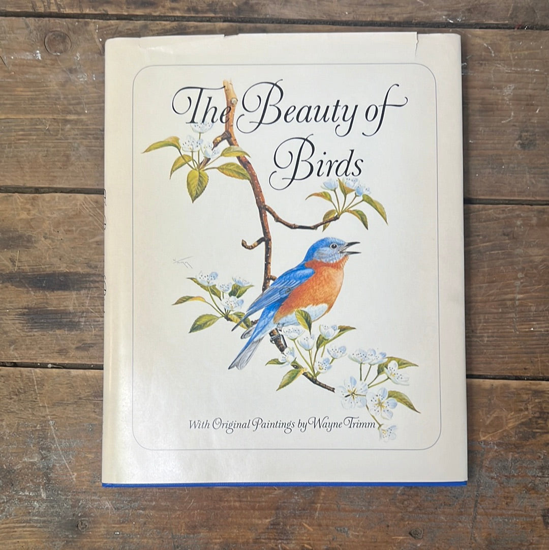 The Beauty of Birds 1974