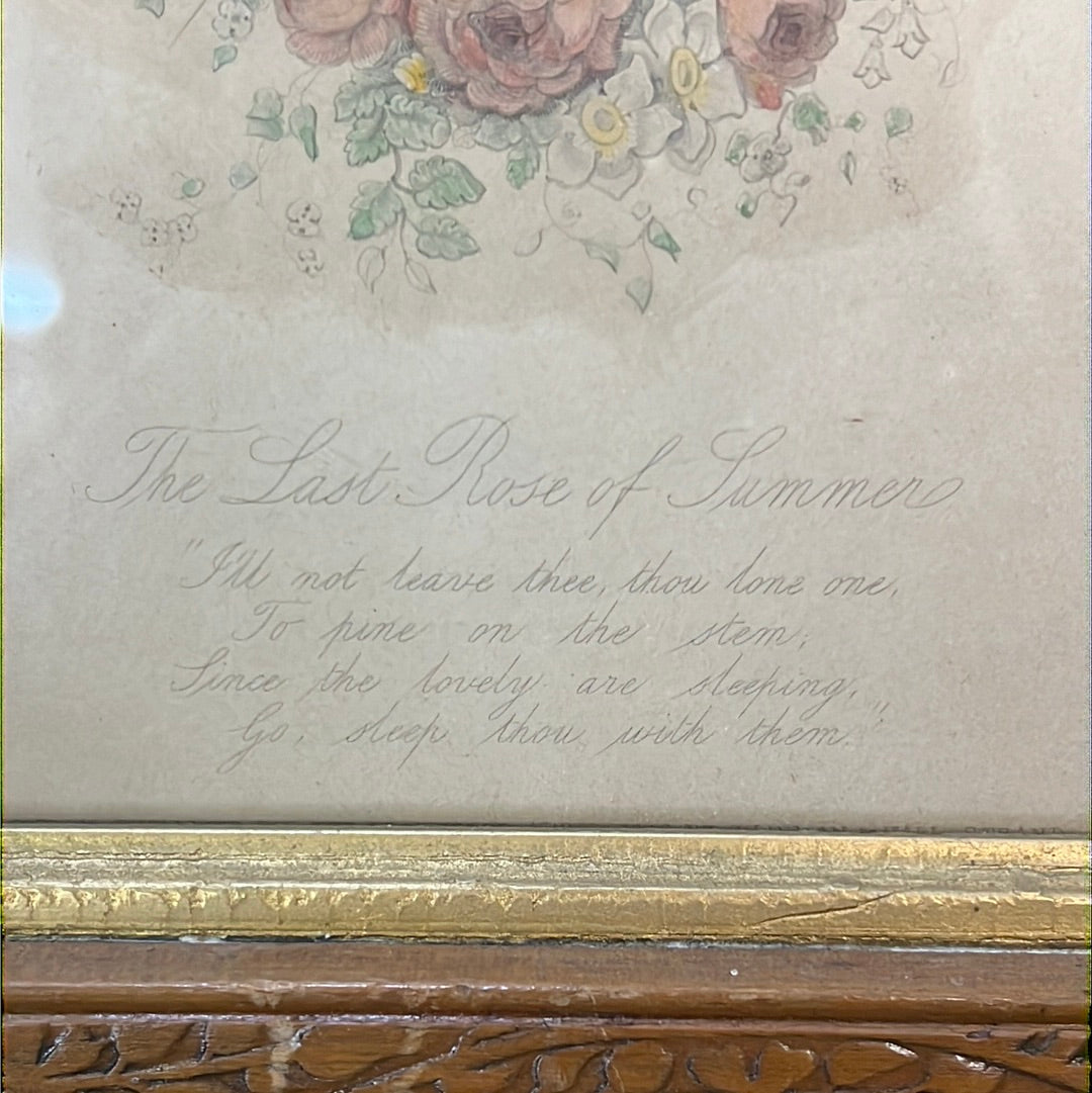 antique last rose of summer engraving